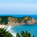 바다 칼국수 이미지