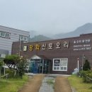 강화 신토오리 이미지