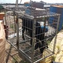 행구축산 이미지