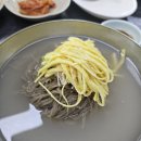 갑동숯골냉면 | 대전 평양냉면 맛집 추천! 갑동숯골냉면에서 만난 시원한 물냉면 맛
