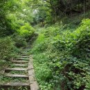 팔용초등학교 이미지