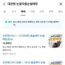 눈꽃마을 이미지