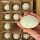 강원도 청계 농장 이미지