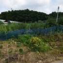 뉴재테크공인중개사사무소 이미지