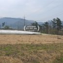 동호리 농장 이미지