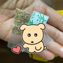 봉평 쓴메밀차 블랙메밀차 국산 티백차 우리기
