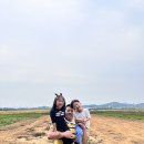 강화도황금농원 이미지