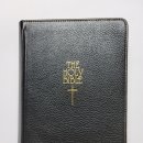 성경약품 이미지