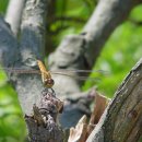 영동교육청 이미지