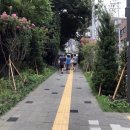 효자초등학교 이미지