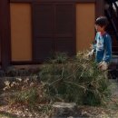 소나무 철물점 이미지