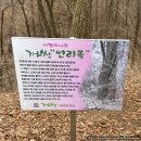 가리산 | [강원 홍천] 가리산 최단 코스 차선 - 시간 압박 및 강풍..