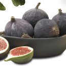 영오농장 이미지