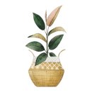 코렉스식자재마트 이미지