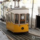 리스본 - 송파구 올림픽로 145 | 리스본