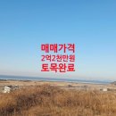카페여차리