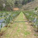 홍주농장 이미지