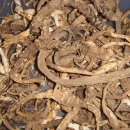 100-1-000049 이미지