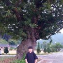 온계종택삼백당 이미지