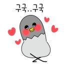 자유시장 앞 횡단보도 이미지