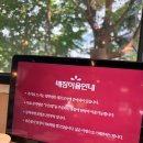 오늘도웃자화도(갓지은솥밥) | : 남양주 맛집 : 오늘도웃자 화도 갓지은솥밥<김치찌개/계란말이/솥밥/숭늉/차산리>