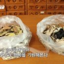 인삼당건재한약방