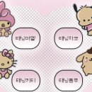 아이폰 카톡테마 추천 | 심플 키티 태닝산리오 가나디 몬치치 쿠로미 테마 후기