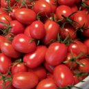 새농민농장 이미지