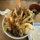 대전 풍자 또간집 탄방동 텐동 맛집 와타요업 평일 방문 내돈내산 후기 키스텐동 와타텐동 (+ 카페추천)