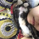 미미여관 이미지