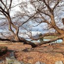 신포마을 이미지