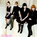 2NE1 카카오 검색결과