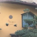 낭띠전원카페 이미지