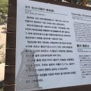 신라첨성대 이미지
