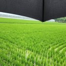 (주)한이야기 티스토리