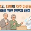 대변이 자주 마려운 증세, 원인과 관리법 이미지
