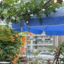 청대리막국수 이미지