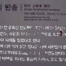 상주 상현리 반송 이미지