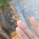 동탄현대서비스㈜검사장 | 11월 14일 간추린뉴스