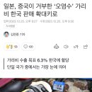 일본, 중국이 거부한 ‘오염수 가리비’ 한국에 판매 확대하기로 결정 이미지