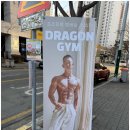 드래곤 H 짐 이미지