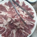 오리한마리 이미지