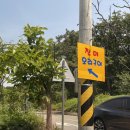 [경기 남양주]40분 웨이팅에도 만족! 남양주 삼동소바에서 소바로 달랜 오리고기 실패담