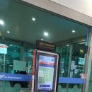 카사블랑카 코리아 이미지