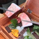 우미 | 상암 이자카야 프리미엄 숙성회 12종을 맛볼수있는 [우미노모리] 후기