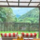 자연앤동물병원 미용실 이미지