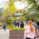 선운산도립공원(선운사 주차장 앞) 이미지