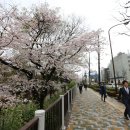 한국면허 -＞ 일본면허 바꾸기 1. 영사관 공증받기 이미지