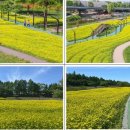 양재천(서초구) 이미지