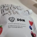 시드딜라잇 네이버블로그